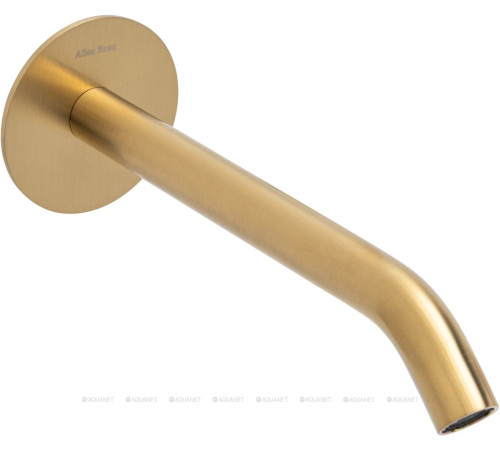 Излив из стены Allen Brau Priority 3.0L встраиваемый 200 мм браш. золото 5.31B18-GB