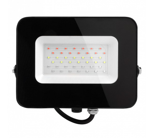 Настенно-потолочный прожектор Jazzway PFL-30W RGB BL IP65