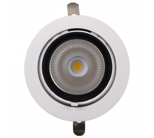 Встраиваемый светильник Jazzway PLED DL4 40W 4000K 24° White IP40