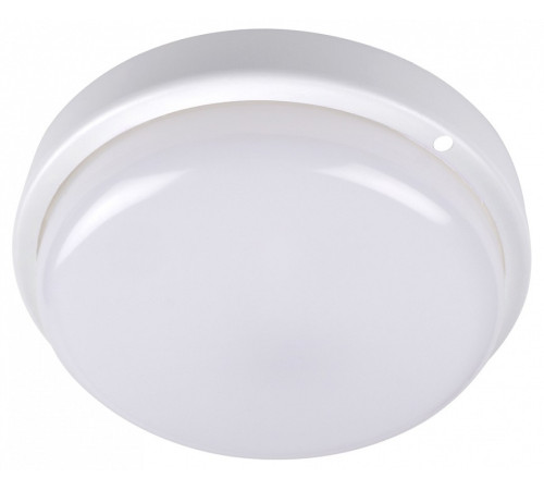 Накладной светильник Jazzway ДПО-1034 12w 4000K IP54