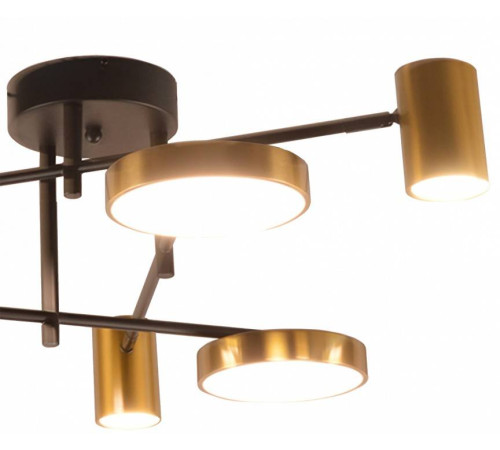 Потолочная люстра Kink Light Рапис 07645-6D,19(20)