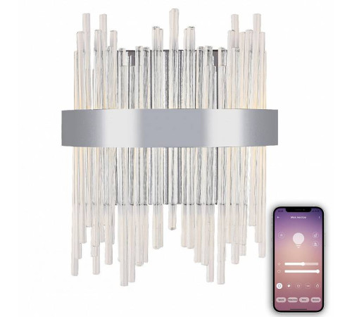 Накладной светильник Natali Kovaltseva LED LAMPS 81119 LED LAMPS 81119/1W