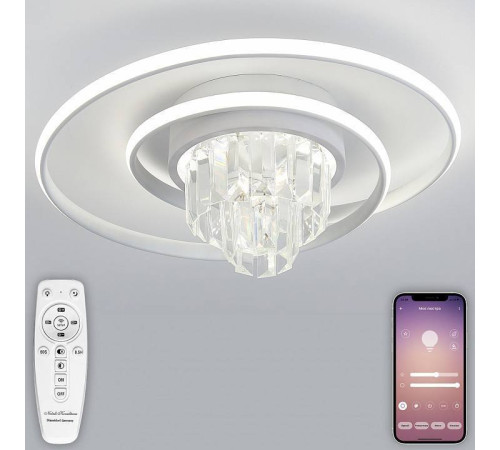 Накладной светильник Natali Kovaltseva LED LAMPS 81115/1C