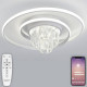 Накладной светильник Natali Kovaltseva LED LAMPS 81115/1C