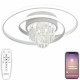 Накладной светильник Natali Kovaltseva LED LAMPS 81115/1C