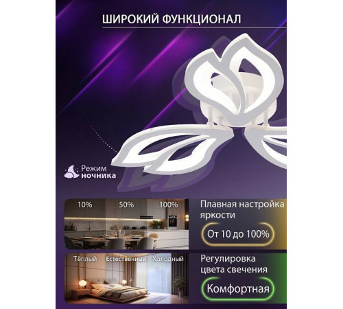 Потолочная люстра Natali Kovaltseva FORTUNA LED LAMPS 81107/2C