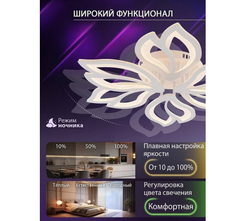 Потолочная люстра Natali Kovaltseva FORTUNA LED LAMPS 81107/6C