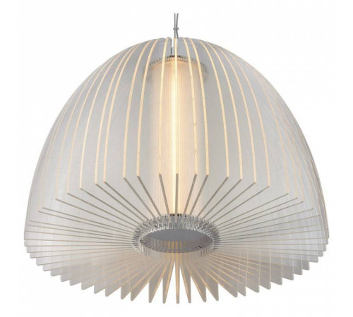 Подвесной светильник L'Arte Luce L21901.98