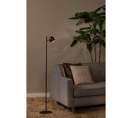 Торшер Lucide Skanska Rech 03749/03/96