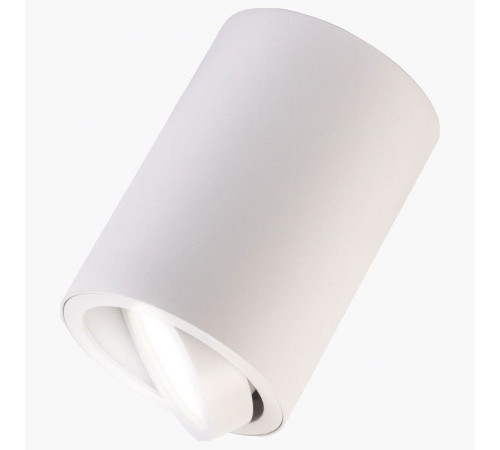 Накладной светильник LEDS POWER SPOT 009735