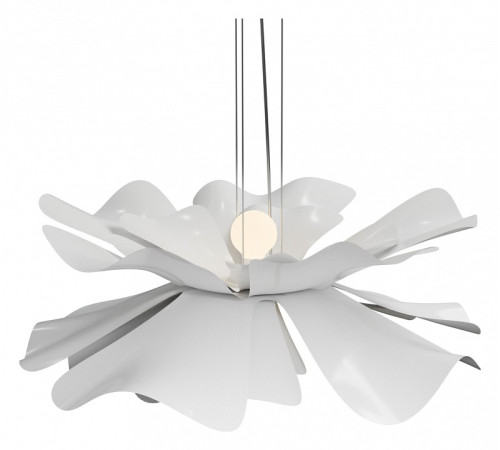 Подвесной светильник LIGHTERA Chad LE116L-55W