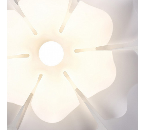 Подвесной светильник LIGHTERA Chad LE116L-55W