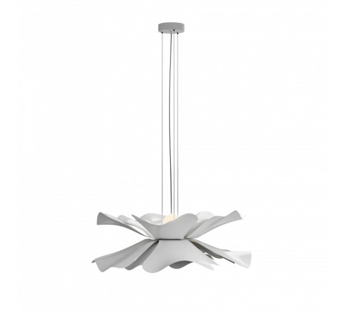 Подвесной светильник LIGHTERA Chad LE116L-55W