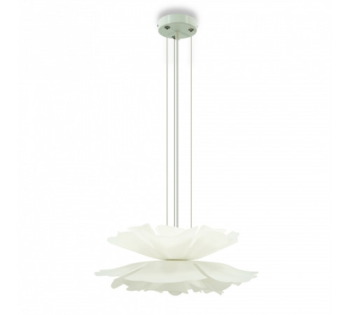 Подвесной светильник LIGHTERA Chad LE116L-55W