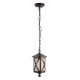 Подвесной светильник Loft It Ravenna 100016P