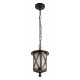 Подвесной светильник Loft It Ravenna 100016P