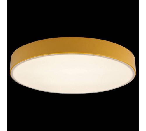 Накладной светильник Loft it Axel 1 10002/24 Yellow