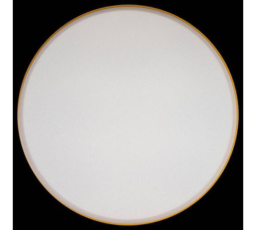 Накладной светильник Loft it Axel 1 10002/24 Yellow