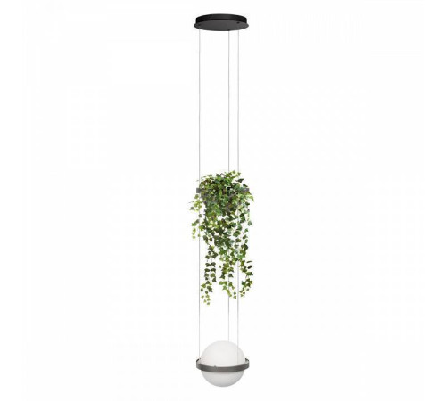 Подвесной светильник Loft it Jardin 10121/1P Dark grey