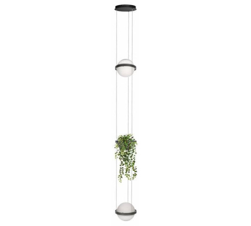Подвесной светильник Loft It Jardin 10121/2P Dark grey