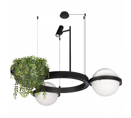 Подвесной светильник Loft it Jardin 10121/2