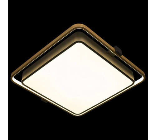 Накладной светильник Loft it Mike 10172