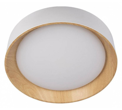 Накладной светильник Loft it Coin 10202 White