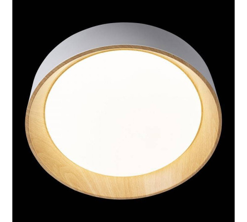 Накладной светильник Loft it Coin 10202 White