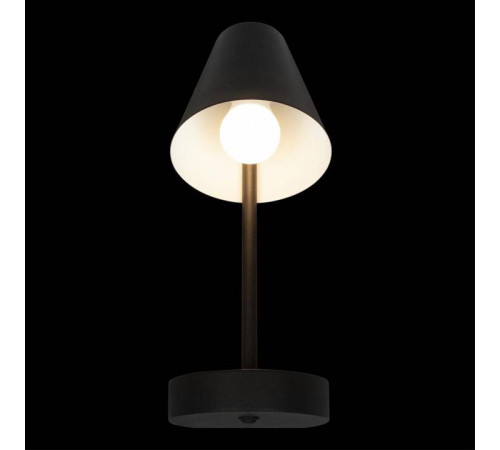 Бра Loft it Shelf 10216/1W Black