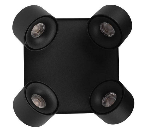 Спот Loft it Case 10326 Black