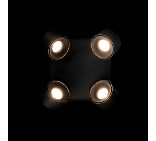 Спот Loft it Case 10326 Black