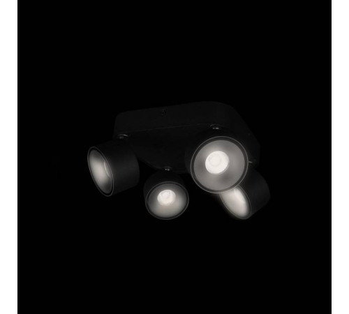 Спот Loft it Case 10326 Black