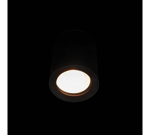 Накладной светильник Loft it Rush 10344 Black