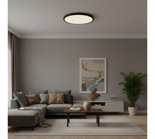 Накладной светильник Loft it Sweety 10454/500 Black