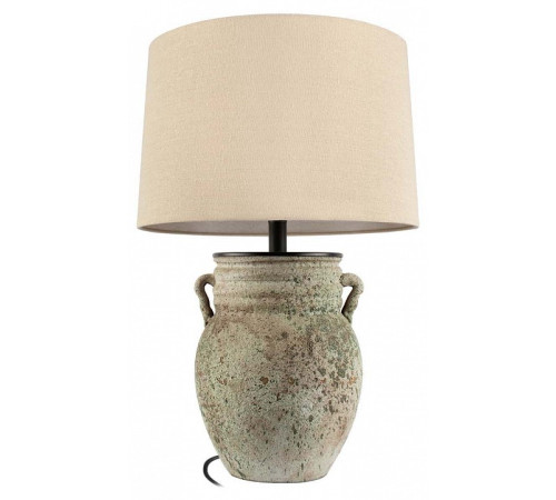 Настольная лампа декоративная Loft it Ewer 10516T