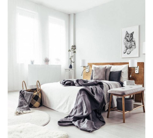 Бра с подсветкой Lumion Nikki 3745/1A