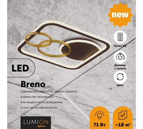 Накладной светильник Lumion Breno 5246/71CL