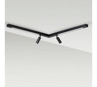 Светильник потолочный Lumion Ledio 19 Вт 5690/19CL