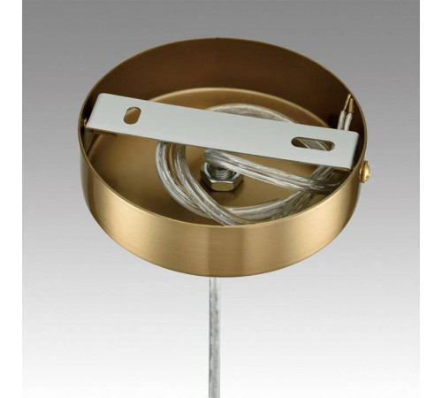 Подвесной светильник Lumion Jane 6592/1