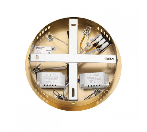 Подвесная люстра Lumion TWINKLE 8010/50L