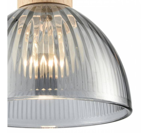 Подвесной светильник Lumion Natana 8053/1А