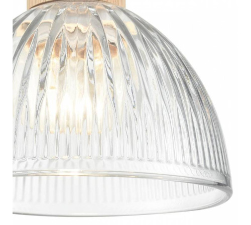 Подвесной светильник Lumion Natana 8055/1А