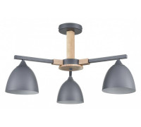 Люстра на штанге Lumion Colange 8096/3C