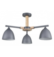 Люстра на штанге Lumion Colange 8096/3C