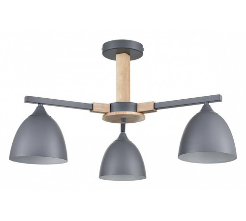 Люстра на штанге Lumion Colange 8096/3C