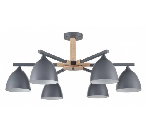 Люстра на штанге Lumion Colange 8096/6C