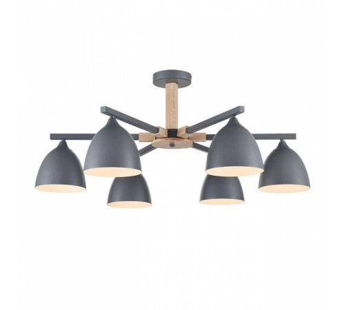 Люстра на штанге Lumion Colange 8096/6C