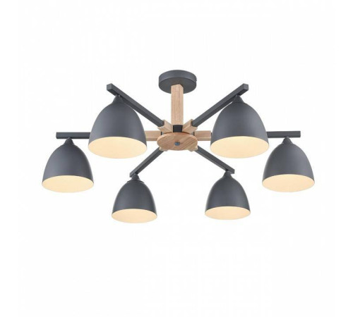 Люстра на штанге Lumion Colange 8096/6C