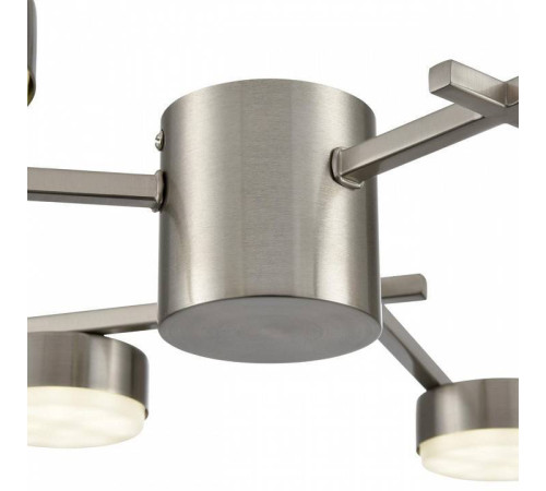 Потолочная люстра Lumion Dabra 8115/6C