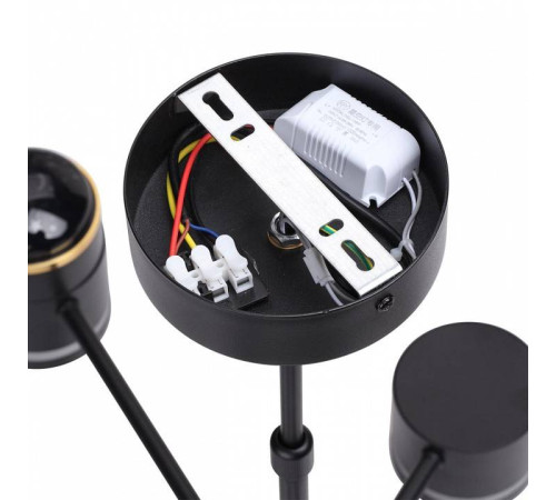 Люстра на штанге Lumion Virsava 8234/6C